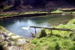 eau en cévennes