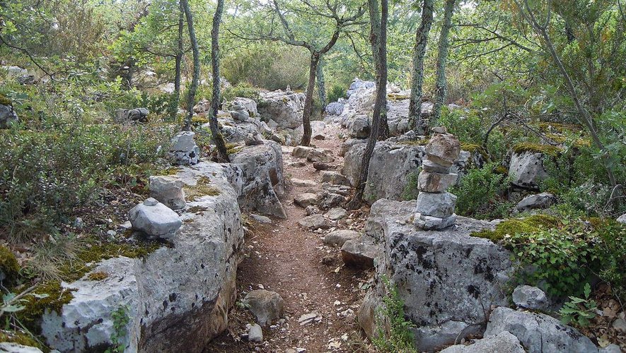 Visite des extérieurs de la grotte de la Cocalière mardi 20 août.